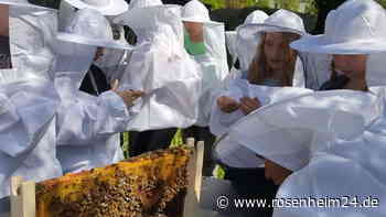 Jetzt öffnen sich erstmals die Türen: Das verbirgt sich hinter Bad Aiblings „Garten Eden“