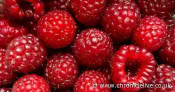 Nutritionist names two 'superfoods' to avoid and four to eat regularly for better health