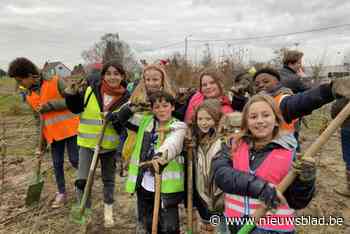 Vorig jaar is er meer dan 10 hectare natuur bijgekomen in de Vlaamse Rand dankzij projectoproep ‘Groene Rand’