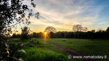 Earth Day nell'Oasi naturalistica del WWF a Castel Romano