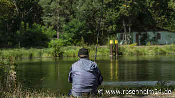 Unheimliche Begegnung an Badesee in Österreich – Mann flüchtet vor wildem Tier