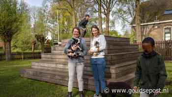 Kinderboerderij bestaat 50 jaar en viert jubileumjaar: 'Voor veel mensen is hier een plek'