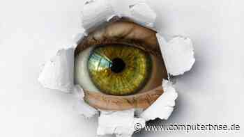 Polnische Ex-Regierung: Fast 600 Personen durch Pegasus ausgespäht