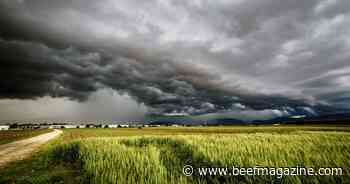 USDA joins FarmRaise to offer online livestock disaster decision tools