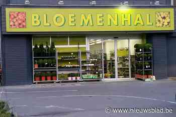 35 bloemenwinkels in Oost- en West-Vlaanderen failliet verklaard: “Justitie heeft geen oog voor de 50 werknemers”