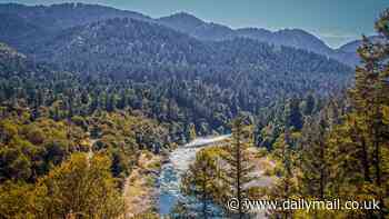 The iconic American rivers becoming so filthy with pollution they are 'endangered'