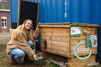Jasmien (30) geeft elke week zwerfkatjes te eten in Hasselt: “Op donderdag krijgen ze kip van de markt”