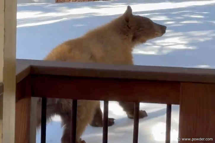 Guess Who Visited Chris Benchetler's Studio This Week