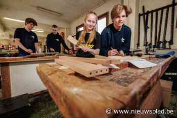 Leerlingen Houttechnieken TSM nemen deel aan Vlaamse Houtproef: “Zo kunnen we waardevolle ervaring opdoen”