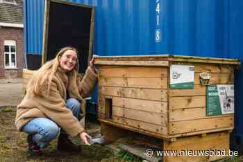 Jasmien (30) geeft elke week zwerfkatjes te eten: “Op donderdag krijgen ze kip van de markt”