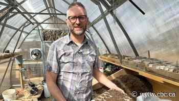 Even gardens have a carbon footprint. Here's how to reduce the climate impact of urban farming