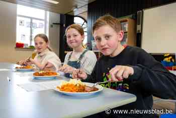 “De wortels zijn niet goed afgekruid, dit is een zes of zeven waard”: leerlingen kiezen zelf wie volgend jaar in de schoolpotten roert