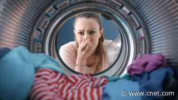 Kill Mold Growing in Your Washing Machine ASAP. Here's How     - CNET