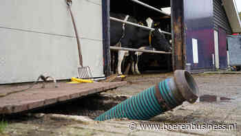 Kans op dalende mestprijzen steeds kleiner