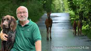 Tipps von Altöttinger Jäger: „Im Wald langsam und bremsbereit“ zum Schutz der Tiere