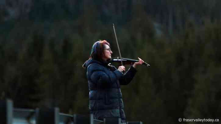 B.C. woman tries to coax trapped killer calf out of tidal lagoon with her violin