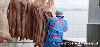 Vion wil lichtere varkens door stroeve wereldmarkt