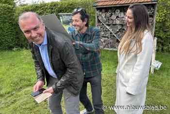 Deze gemeente laat gras vanaf nu langer worden door #ByeByeGazon: “Kilometerslange buffettafels voor insecten”