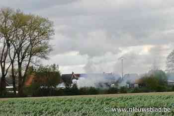 Veel rook bij tuinhuisbrand