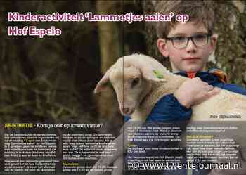 Kinderactiviteit Lammetjes aaien opHof Espelo