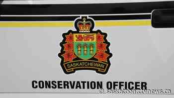 Sask. village, contractor fined $42,000 for illegal dumping