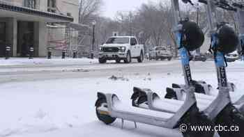Sask. spring snowstorm persists, traveller reports dozens of semis backed-up on Highway 11