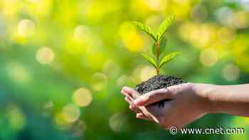 9 Earth Day Activities for a Healthier You     - CNET