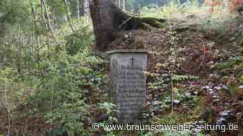 True Crime im Harz: Unfall oder Mord aus Leidenschaft?