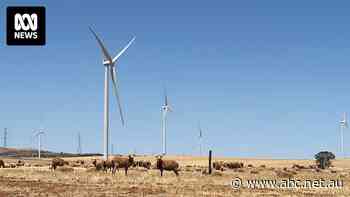 Mammoth federal green scheme risks 'zombie projects' that never get built, analyst warns