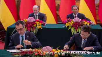 20 Jahre nach BSE: Deutschland exportiert wieder Rindfleisch nach China