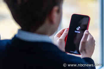 U.S. likely to enact a law soon that could ban TikTok nationwide