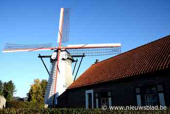 Dit diertje tastte draagbalken Sevensmolen aan: “Na restauratie kunnen ze weer een eeuwigheid mee”