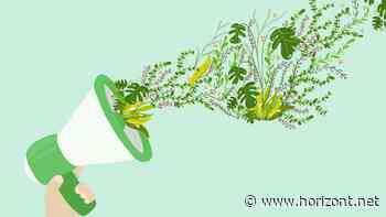 Nachhaltiges Leben: Wann wird Werbung endlich nachhaltig?