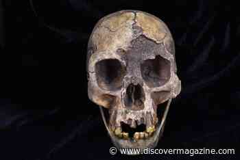 Human Ancestors May Have Bucked an Evolutionary Trend