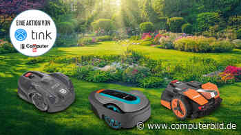 Mäh-volution bei tink: Jetzt Rabatte auf ausgesuchte Mähroboter sichern