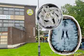 Bron van besmettingen met varkenslintworm in Lier geïdentificeerd: “Persoon is niet meer besmettelijk”