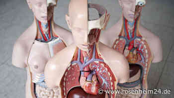 Niere bei Amsterdam-Trip gestohlen? Was hinter Gerücht um ein Organklau-Opfer aus der Region steckt