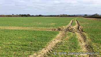 Natte herfst laat sporen na in de Europese granen