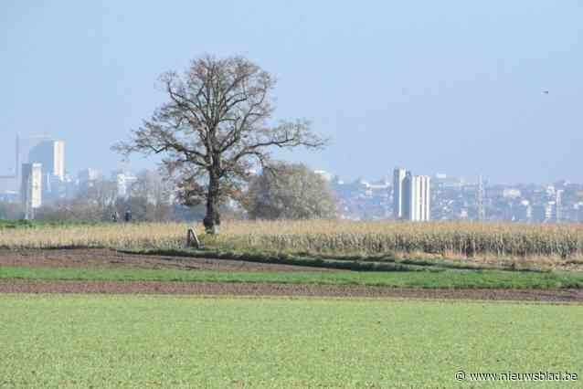 Vastgoedvennootschap en Franstalige organisatie slepen Wonen in Eigen Streek-decreet voor het Grondwettelijk Hof