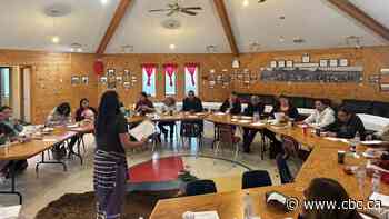 Federal funding for Indigenous culture, language programs must be sustainable, say advocates