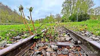 Neue Pläne: Bekommt Nagold wieder sein Klebbähnle?