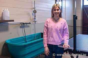 Elke (22) bouwt garage om tot hondentrimsalon: “De transformatie voor en na de trimbeurt is zalig om te zien”