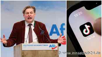 „Echte Männer sind rechts“: Wie die AfD im Netz polarisiert – hat sie auf TikTok „leichtes Spiel“?