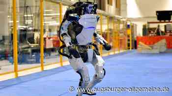 Ulmer Forscherin stellt fest: Bei Robotern funktioniert das mit dem Humor nicht