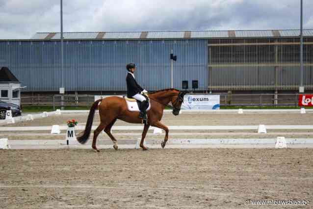 Internationale dressuurwedstrijd vindt plaats zonder vergunning, buurman vraagt om op te treden: “Koppige overheid die denkt boven de wet te staan”