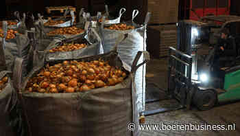 Kaf wordt van koren gescheiden in uienhandel