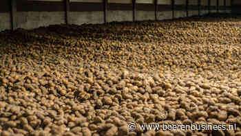 Vertrouwen is goed, maar aardappelvoorraad is beter