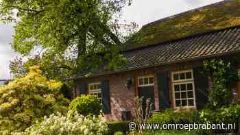 112-nieuws: boom valt op huis • geen treinen tussen Boxtel en Eindhoven