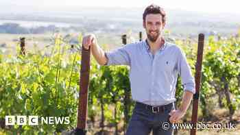 'AI helps me to make wine for younger drinkers'