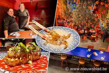 RECENSIE. Helemaal anders dan Tinèlle, maar op één vlak toch krek hetzelfde: wij gingen als eerste proeven bij bistro Balcón